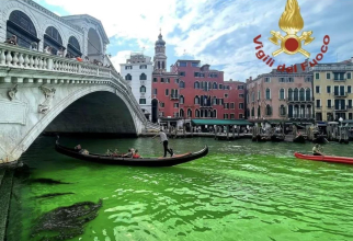 Apa din Marele canal din Veneția a devenit verde fluorescent. Sursa foto: fanpage.it