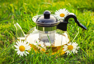 Descoperă magia ceaiului de mușețel: Un mod inedit de a te relaxa și a avea grijă de tine / Foto: Unsplash