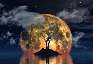 Horoscop special: Luna nouă în Leu din 16 august schimbă complet viața unor zodii; oportunități unice pentru Tauri și Săgetători  (sursa foto:Freepik.com)