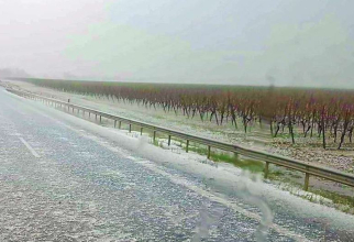 Dezastru pentru viticultorii din Germania, grindina și ploile abundente distrug recoltele