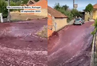 Un sat din Portugalia, inundat de două milioane de litri de vin roșu