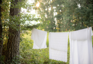 Cât de des ar trebui să vă spălați așternuturile pentru a evita ploșnițele de pat. Infestarea lovește mai multe țări / Foto: Unsplash