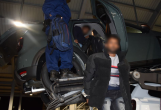 Opt migranți s-au ascuns în mașinile noi transportate pe trailer și au încercat să intre în Ungaria 