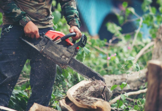 Accident mortal de muncă. Un tânăr român din Austria, zdrobit de copacul pe care l-a tăiat. Sursa foto: freepik.com