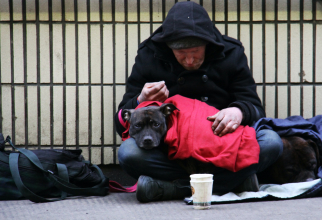 Moment emoționant la Constanța: Un bărbat fără adăpost și câinele său ajutați de poliție în fața iernii aspre / Foto: Unsplash