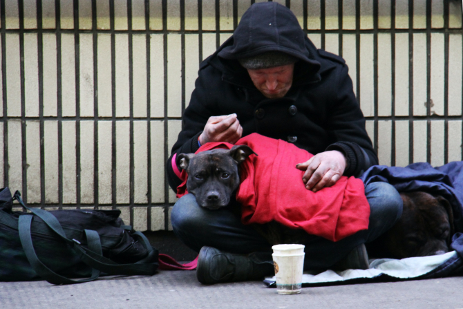 Moment emoționant la Constanța: Un bărbat fără adăpost și câinele său ajutați de poliție în fața iernii aspre / Foto: Unsplash