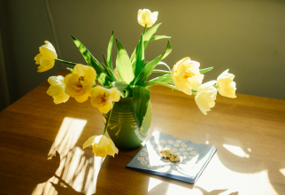 Trucuri simple pentru a menține florile proaspete și frumoase în vază cât mai mult timp / Foto: Unsplash