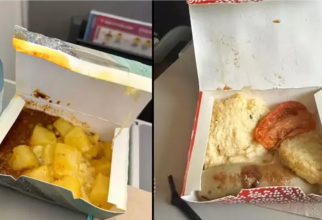 Bărbat, furios că i s-a servit mâncare "necomestibilă" și că avionul era murdar: „Prețuri premium pentru un serviciu inferior” / Foto: Reddit