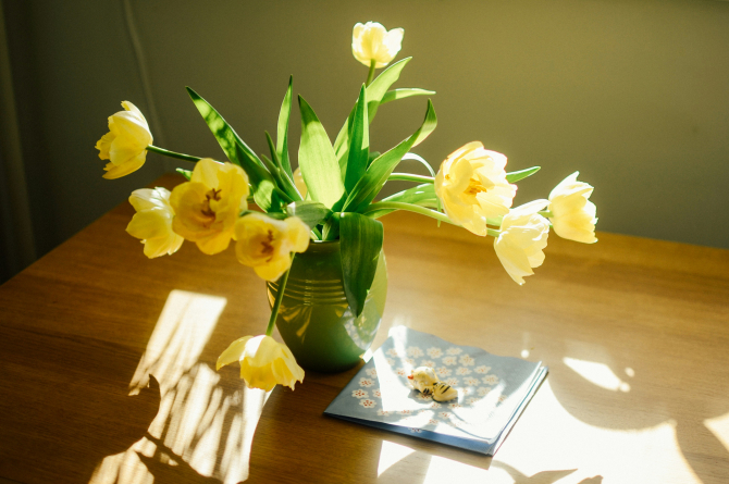 Trucuri simple pentru a menține florile proaspete și frumoase în vază cât mai mult timp / Foto: Unsplash