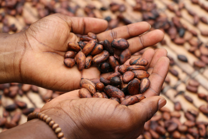 Prețul la cacao atinge noi maxime istorice: 10.000 de dolari pe tonă / Foto: Unsplash