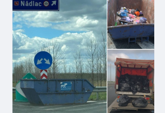 Containerul este aproape gol, gunoaiele se aruncă tot pe câmp (Foto: DRDP Timișoara)