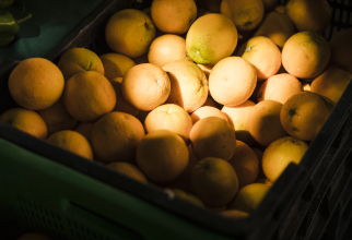 Românul transporta 9 tone de portocale (Foto: Freepik)
