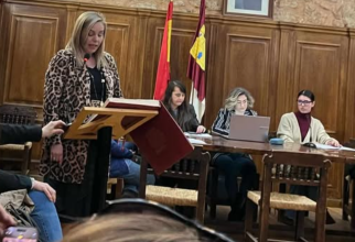 Gianina Suciu, consiler local Spania